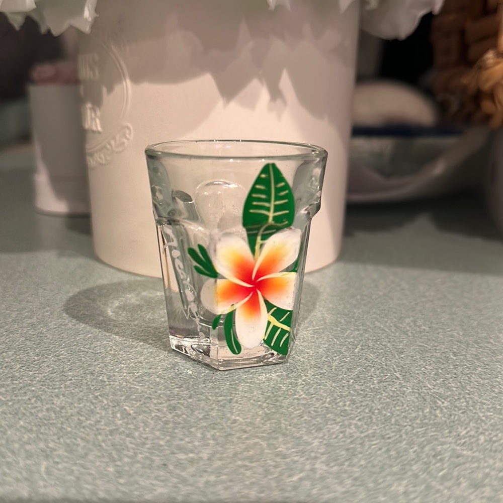 NICARAGUA SHOTGLASS